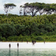 Imagen para el artículo titulado El complicado rescate del cuerpo de John Allen Chau en una isla inexplorada dónde está prohibido entrar